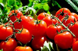 tomatoes, red, food