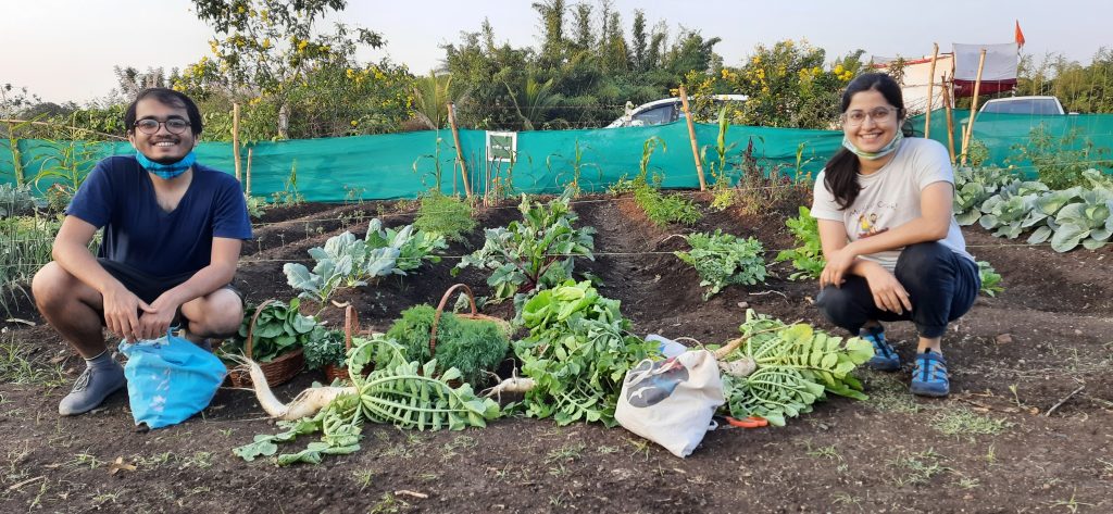 Where to buy organic fruits in Pune