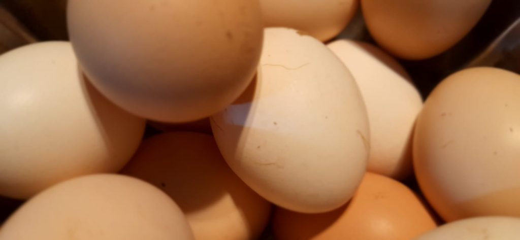 Best organic food store in Pune